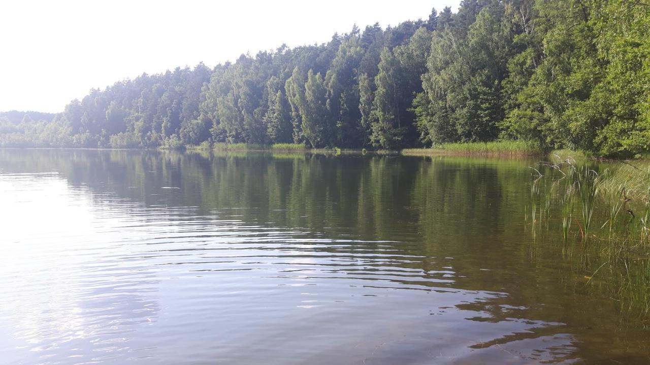 Bakusiowy Zakatek Daire Lipowo Kurkowskie Dış mekan fotoğraf